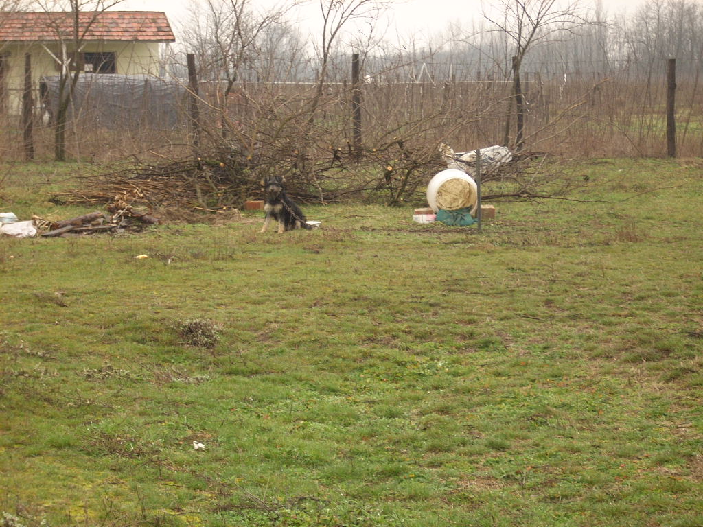 23-20140224felmeres6_0