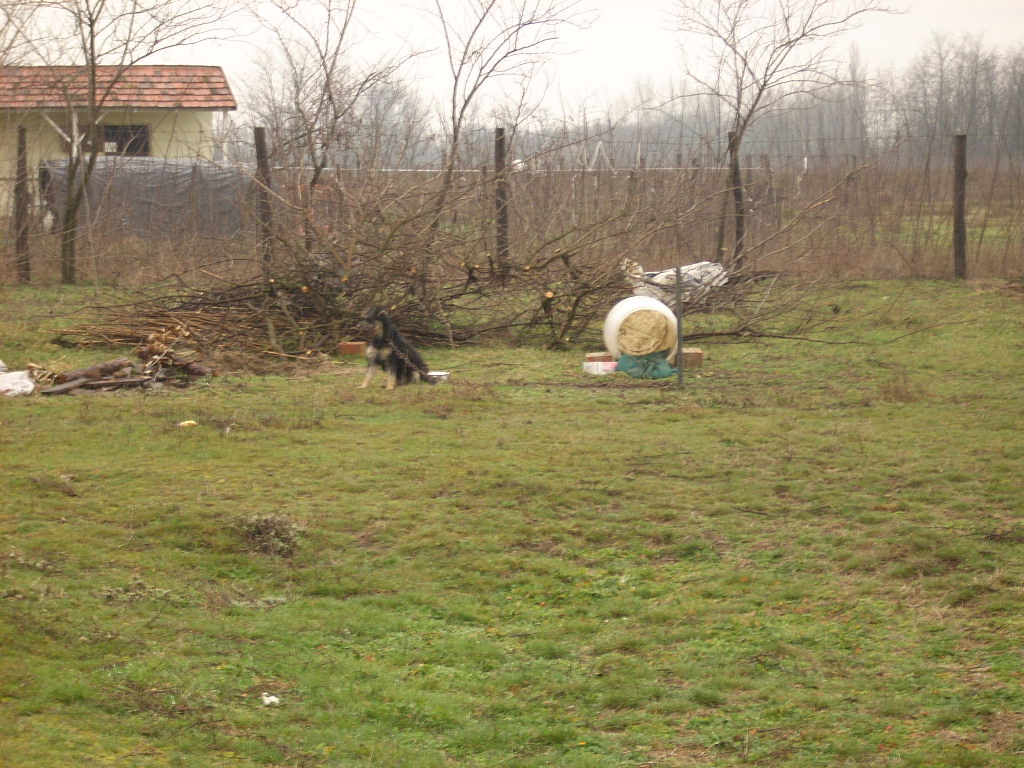 23-20140224felmeres7_0