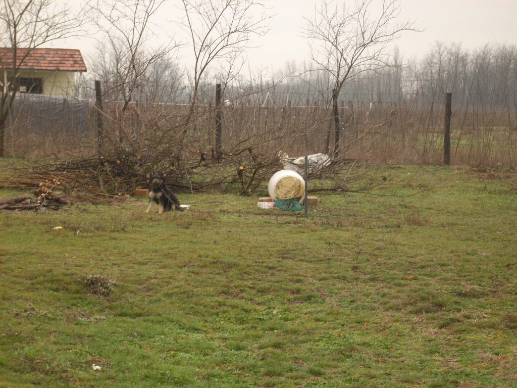 23-20140224felmeres8_0