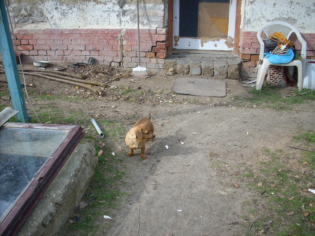 23-20140224kihelyez7_1