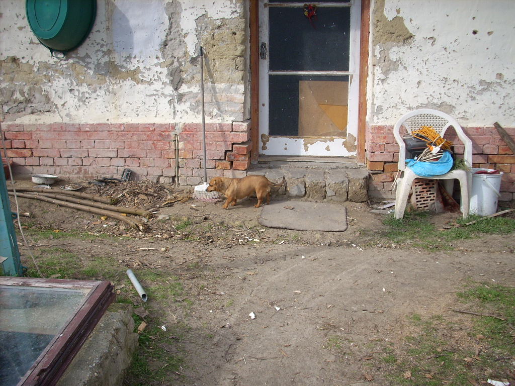 23-20140224kihelyez8_1