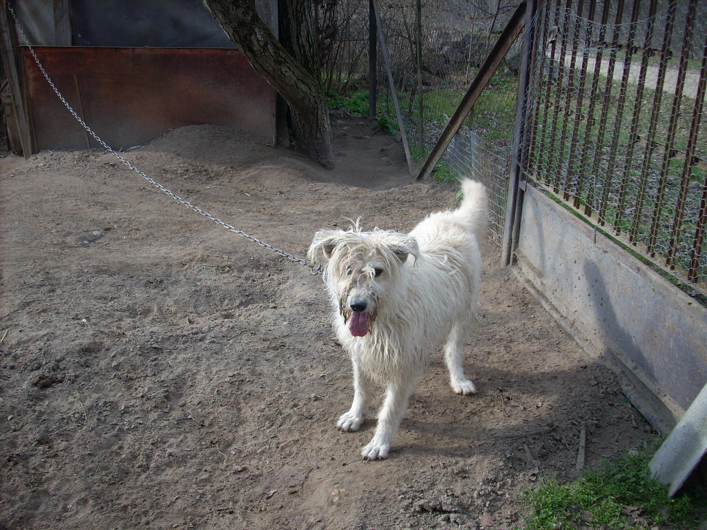 23-20140302haz22_0