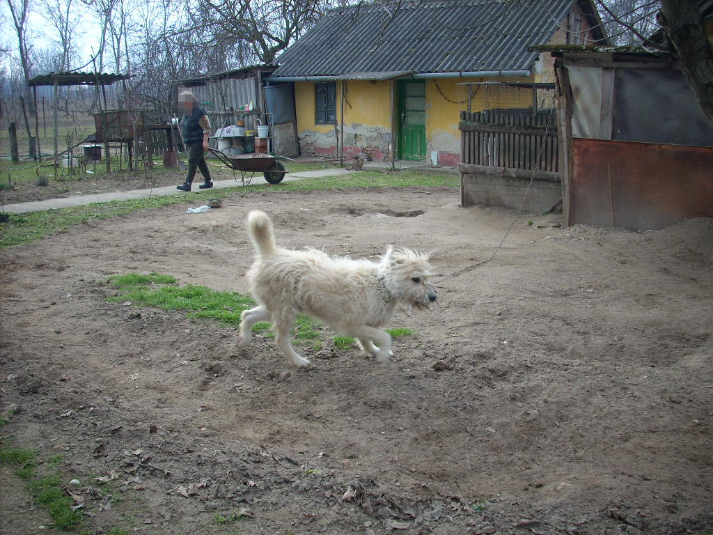 23-20140302haz5_0