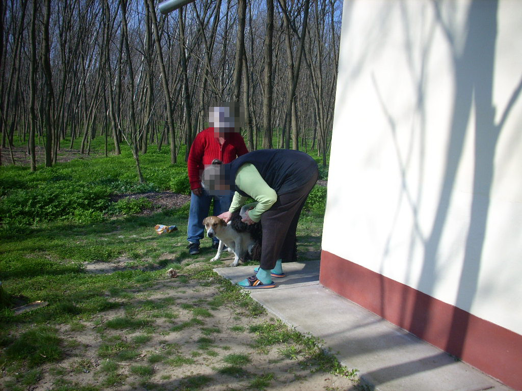 23-20140319_pannika2_0