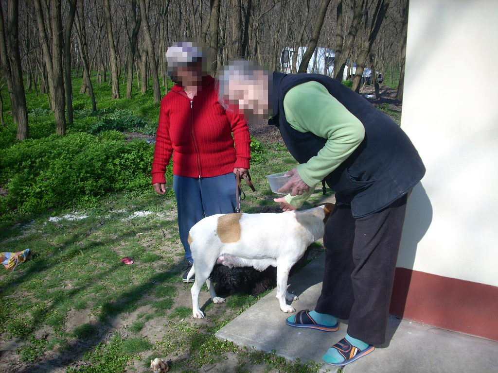 23-20140319_pannika3_0