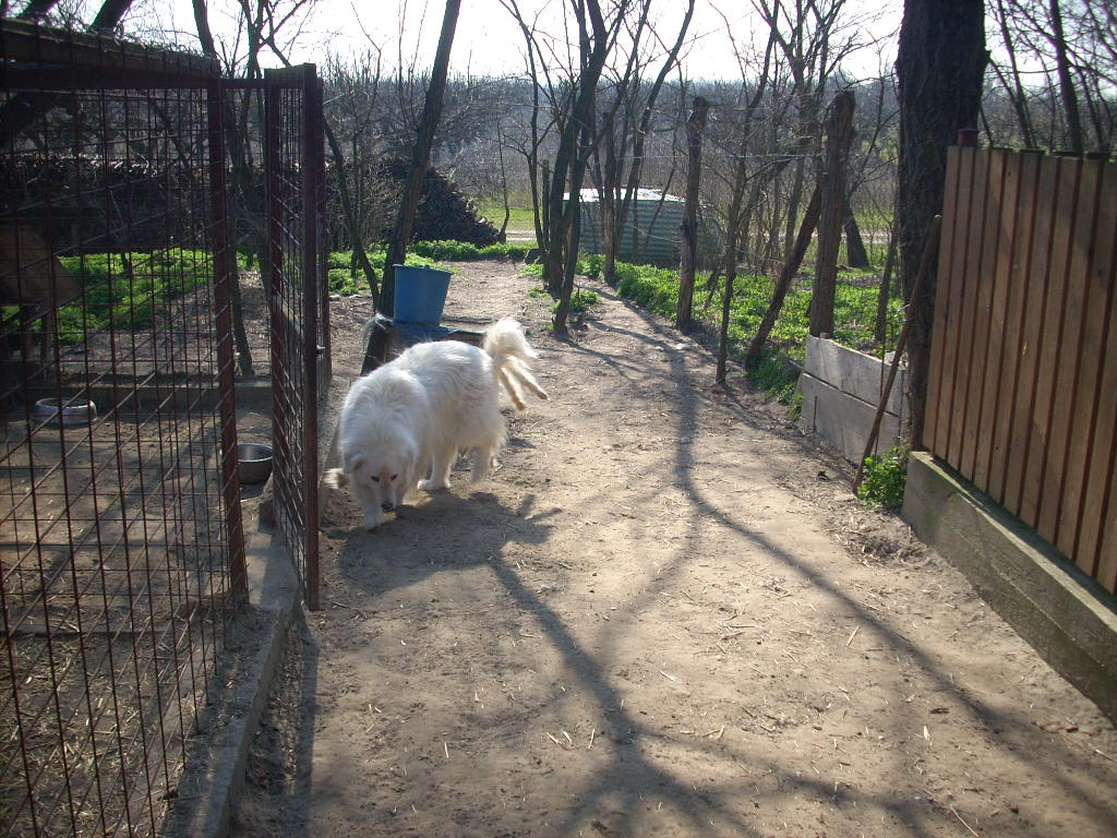 23-20140319_pannika5_0