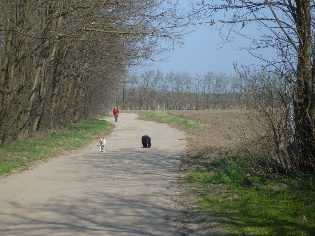 23-20140319_pannika_szomszed10_0