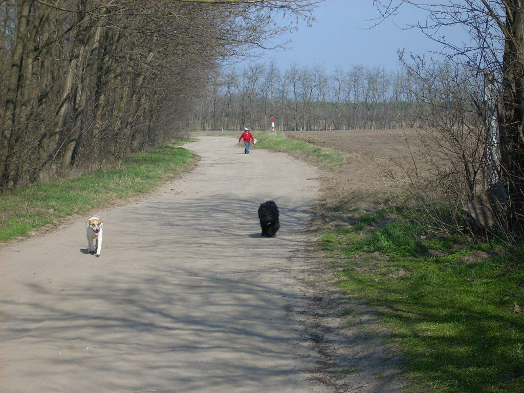 23-20140319_pannika_szomszed11_0