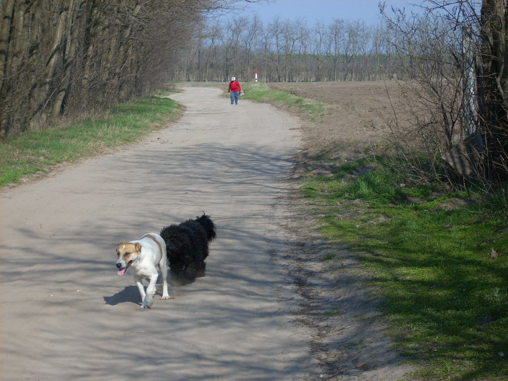 23-20140319_pannika_szomszed12_0