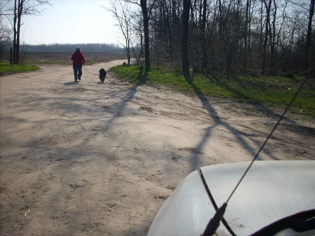 23-20140319_pannika_szomszed4_0