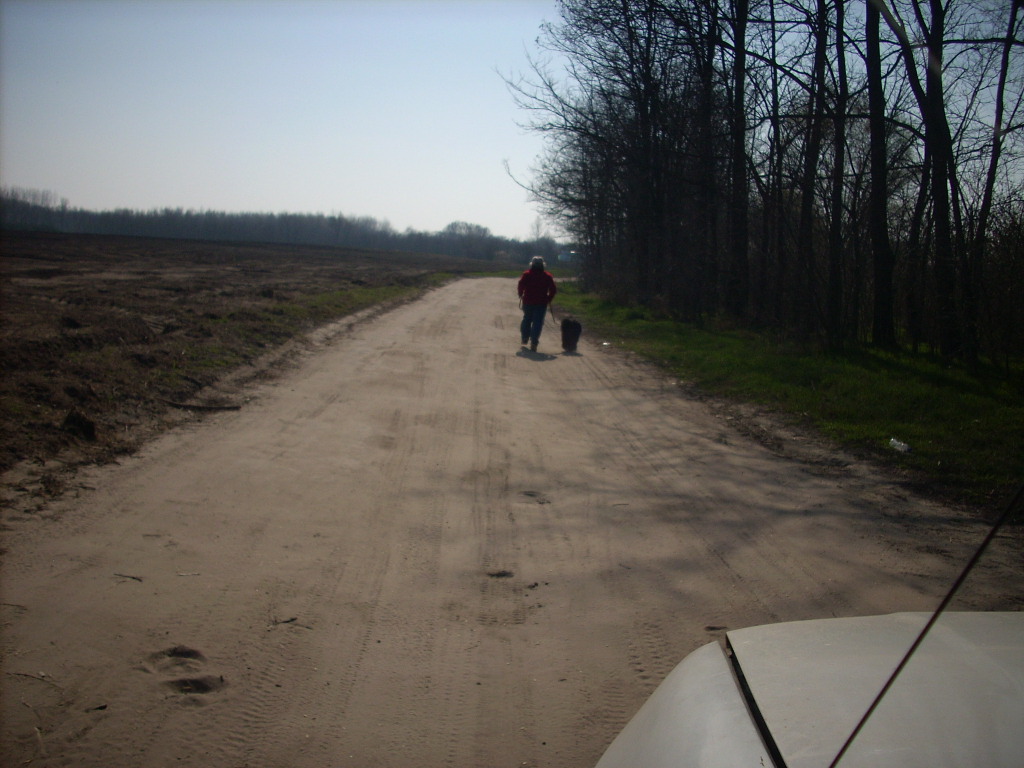 23-20140319_pannika_szomszed5_0