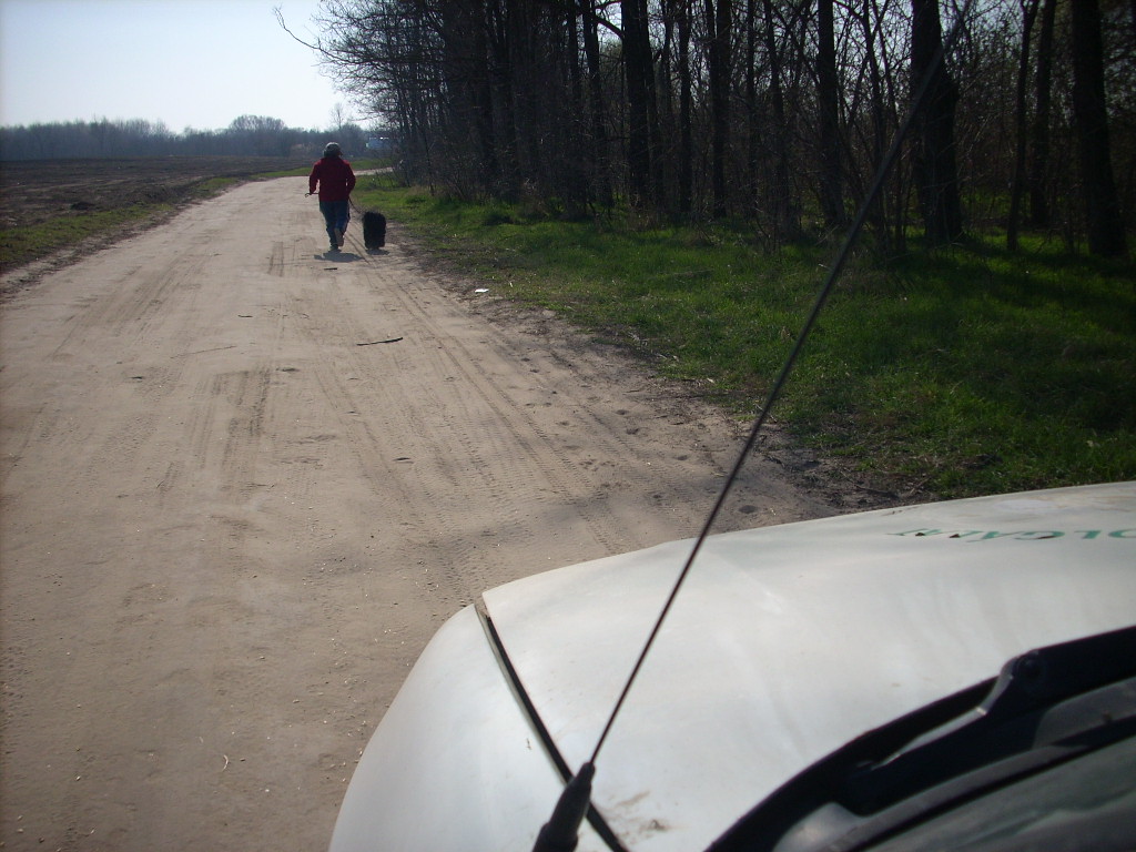 23-20140319_pannika_szomszed6_0