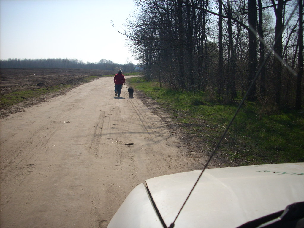 23-20140319_pannika_szomszed7_0