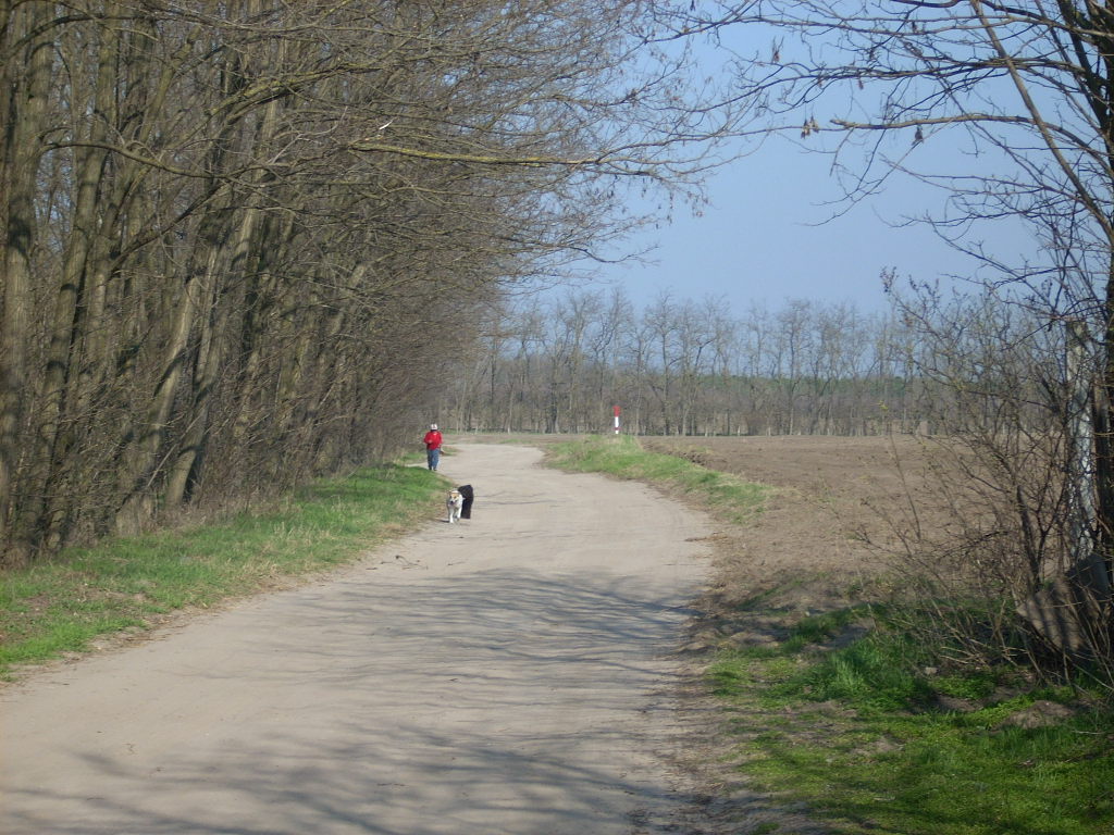 23-20140319_pannika_szomszed9_0