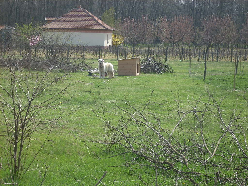 23-20140404alsomentelek19_0