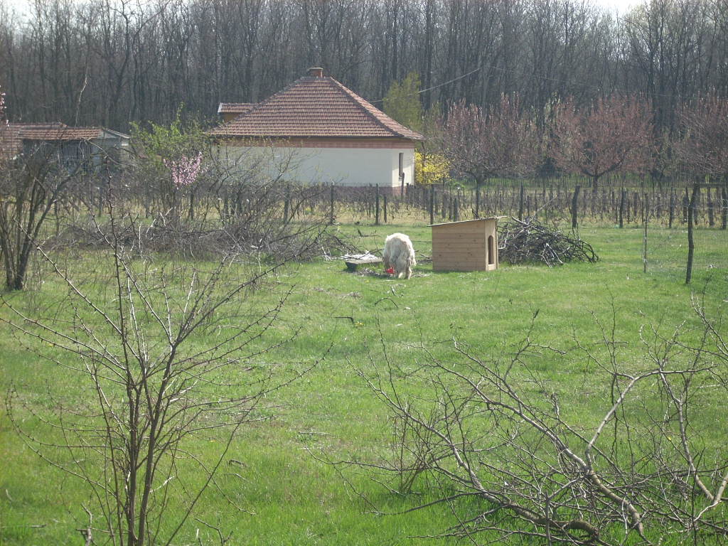 23-20140404alsomentelek22_0