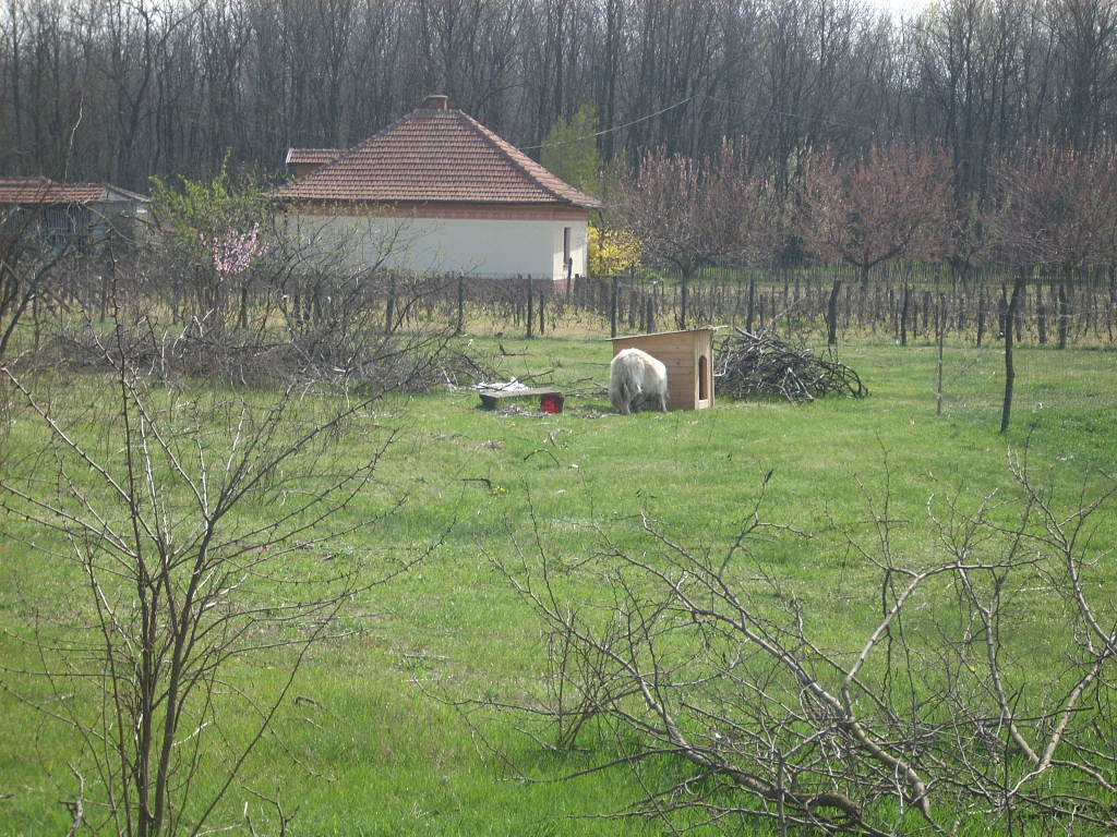 23-20140404alsomentelek23_0