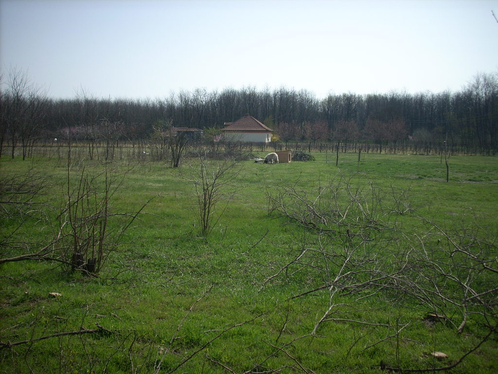 23-20140404alsomentelek24_0