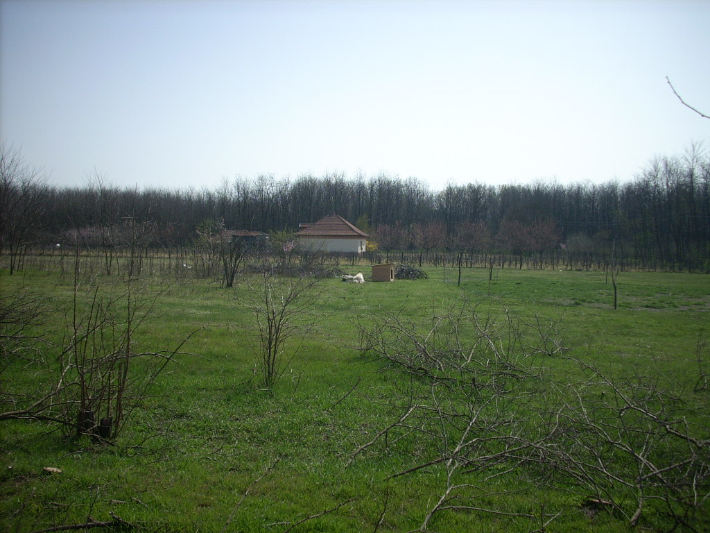23-20140404alsomentelek25_0
