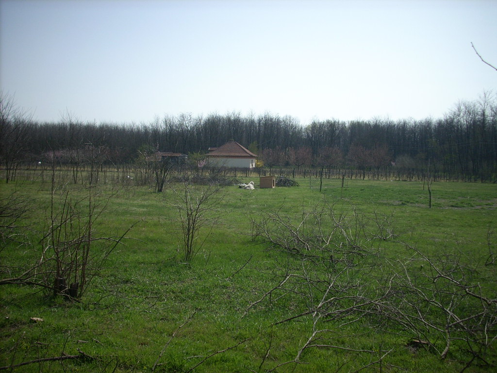 23-20140404alsomentelek26_0