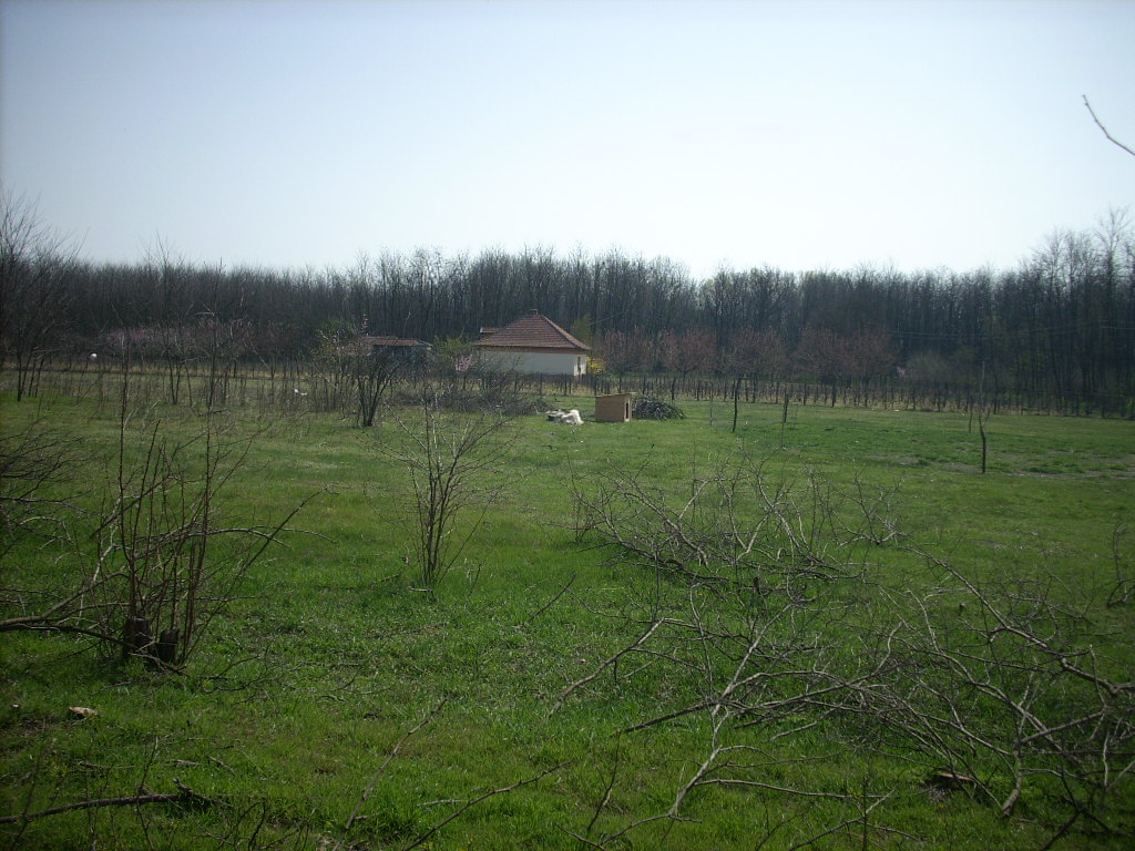 23-20140404alsomentelek27_0