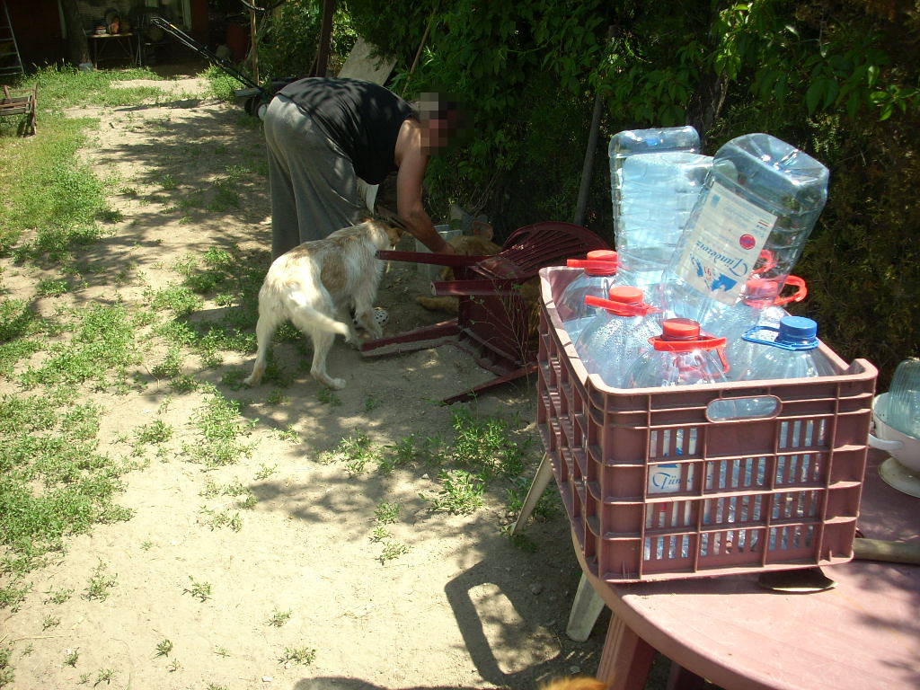23-20140506alamaskoz10_0
