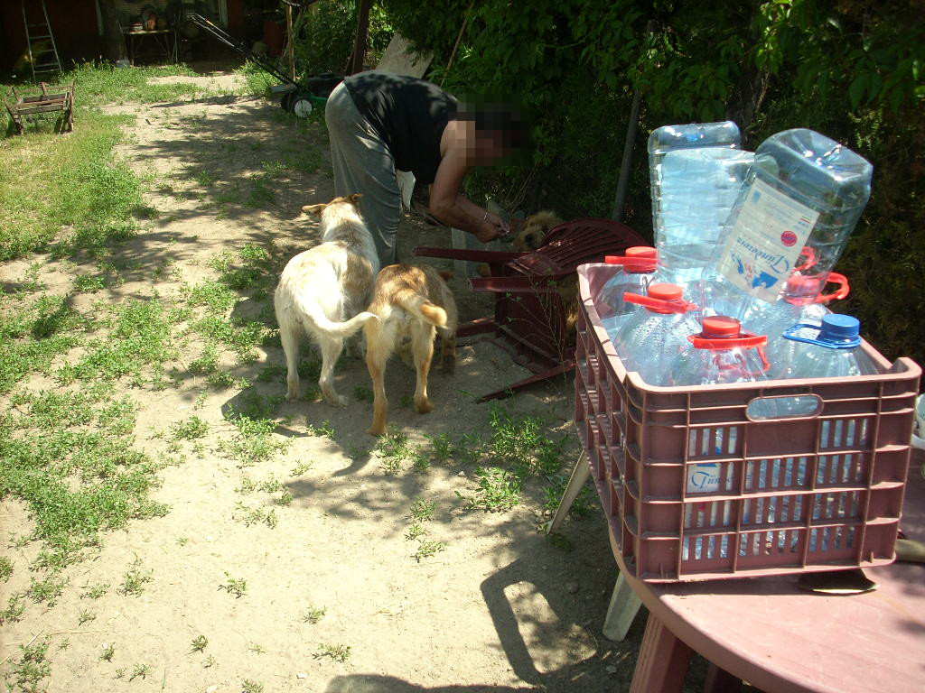 23-20140506alamaskoz11_0