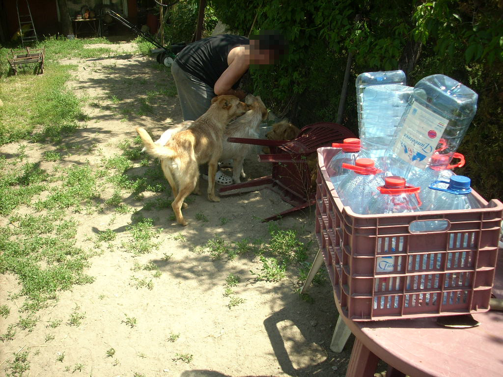 23-20140506alamaskoz12_0