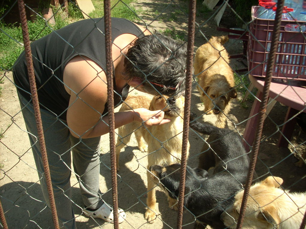 23-20140506alamaskoz1_0