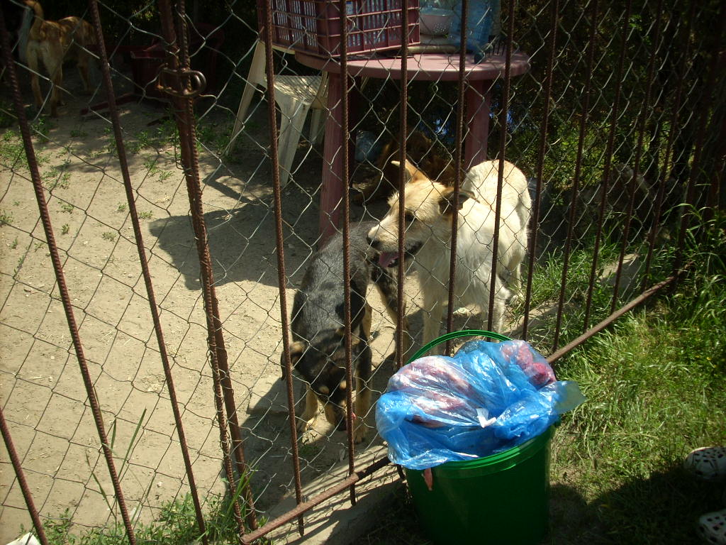 23-20140506alamaskoz22_0