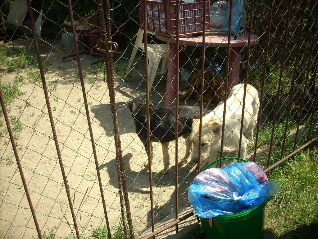 23-20140506alamaskoz23_0