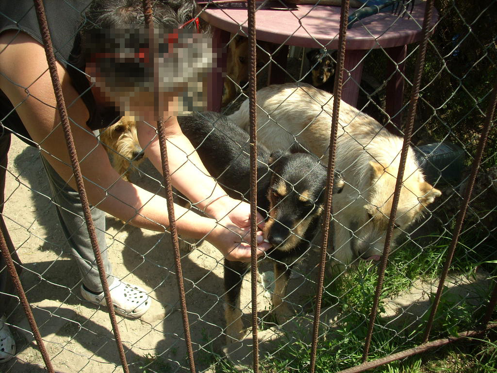 23-20140506alamaskoz2_0