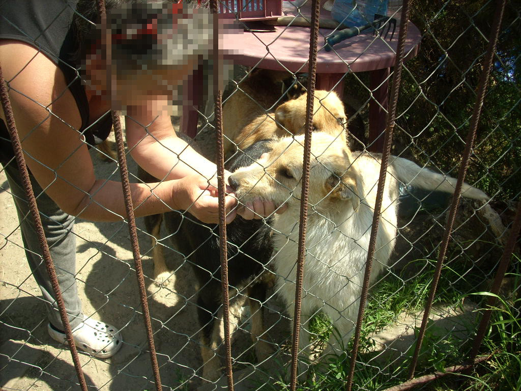 23-20140506alamaskoz3_0