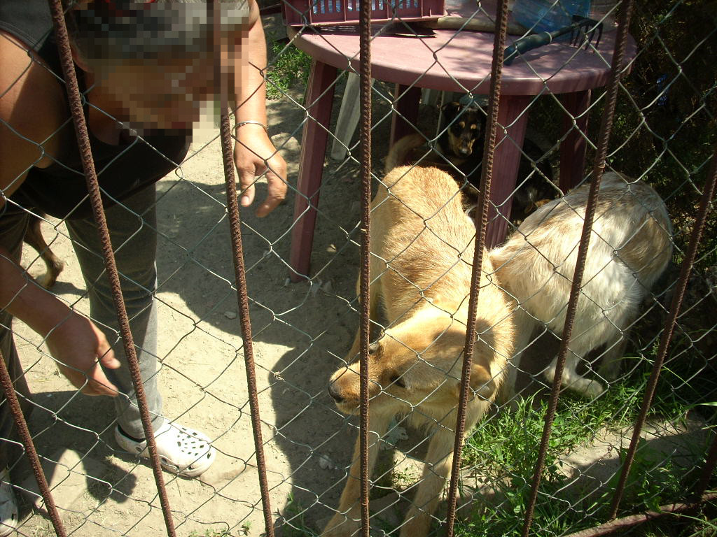 23-20140506alamaskoz4_0