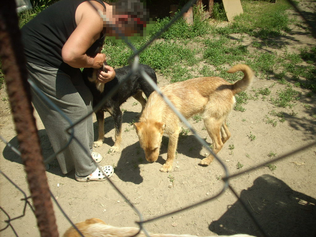 23-20140506alamaskoz5_0