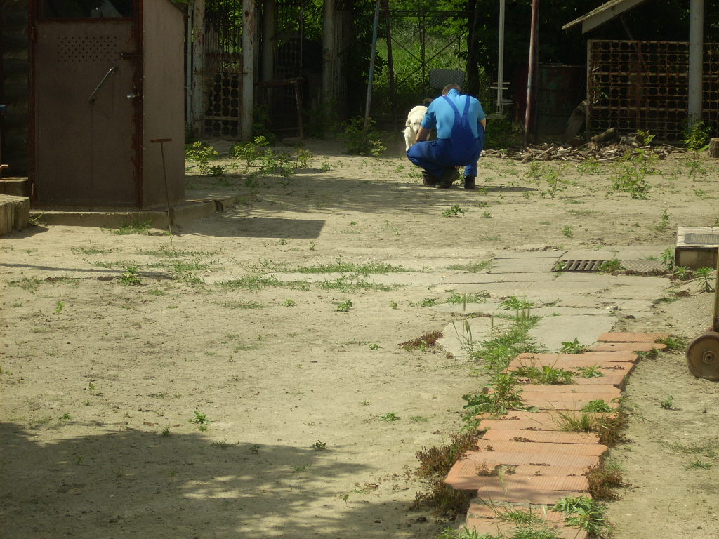 23-20140506belsonyir28_0