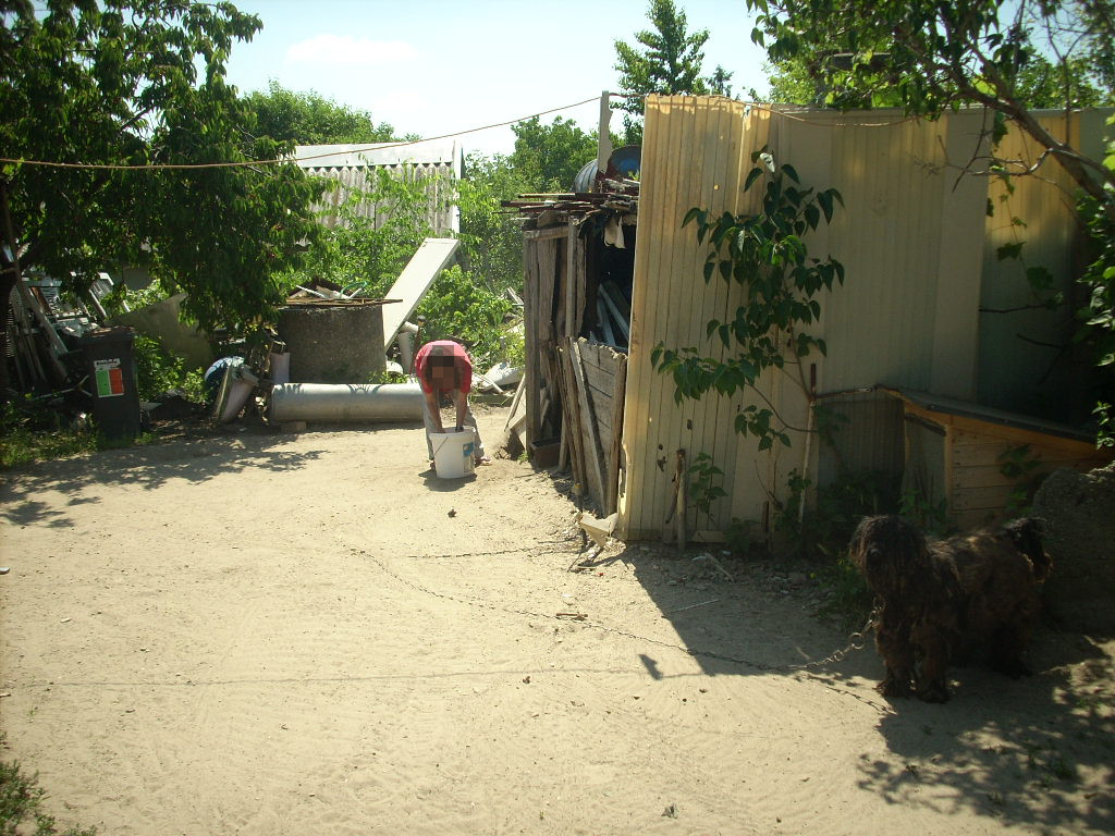 23-20140506dalmata3_0