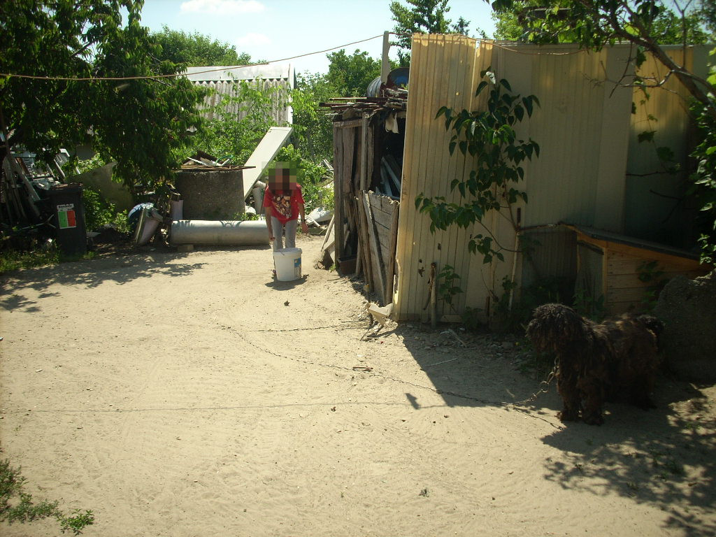23-20140506dalmata5_0