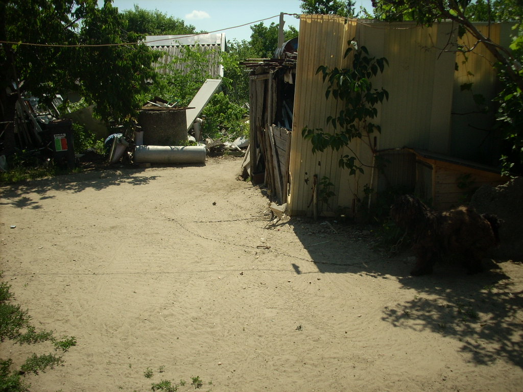 23-20140506dalmata7_0