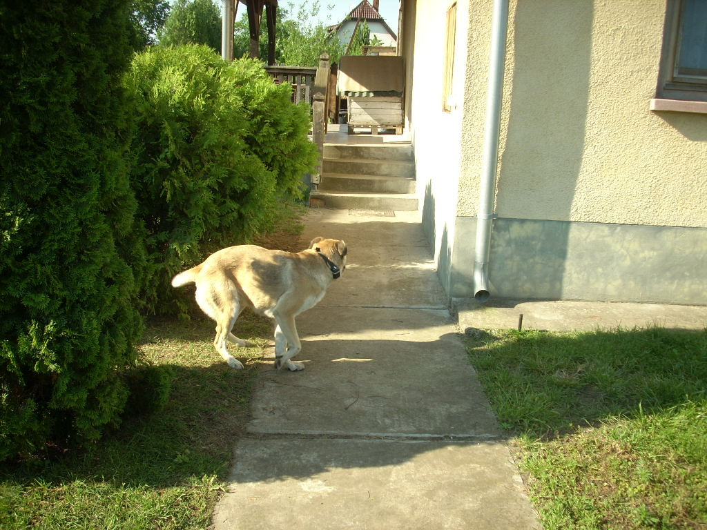 23-20140506judy10_0
