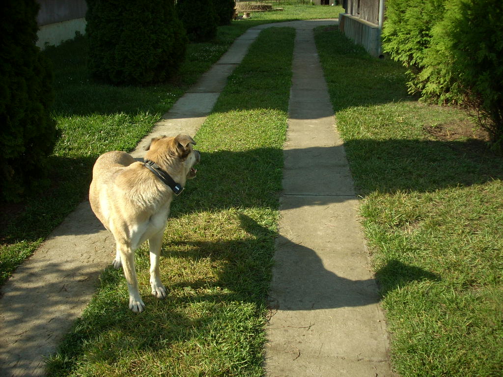 23-20140506judy11_0