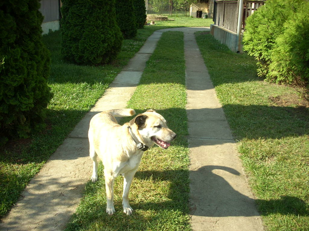 23-20140506judy12_0