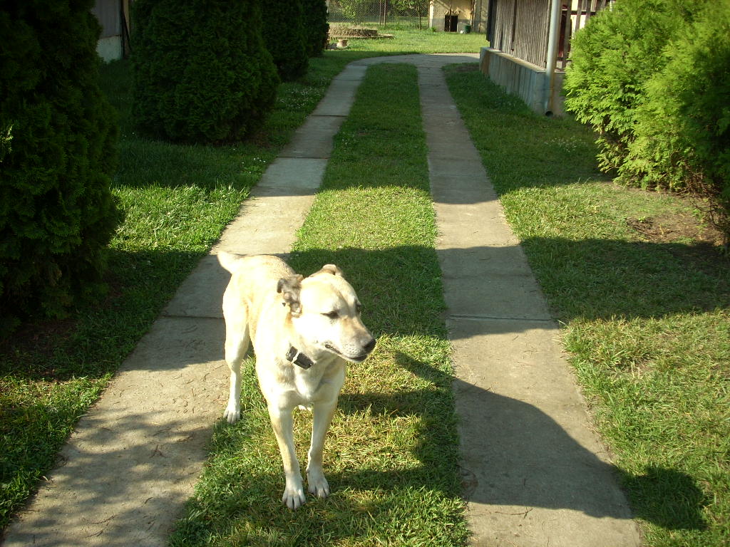 23-20140506judy13_0