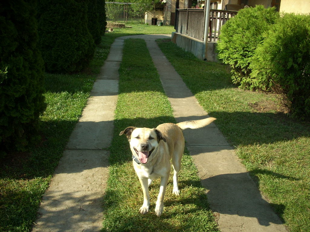 23-20140506judy14_0