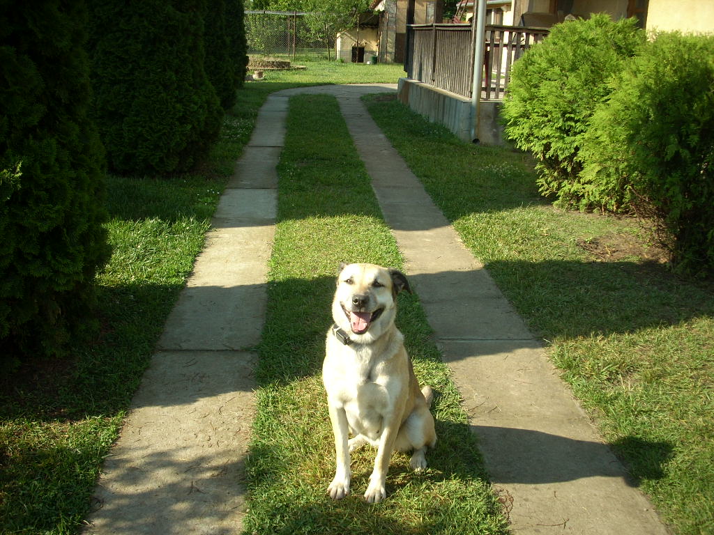 23-20140506judy15_0