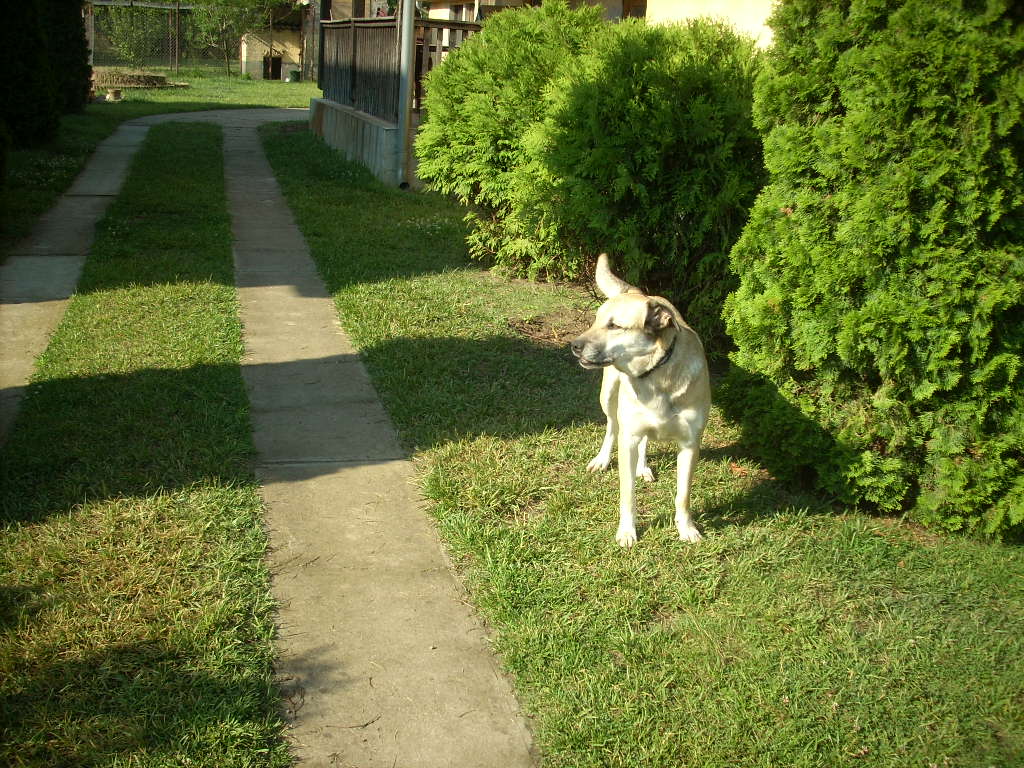 23-20140506judy1_0