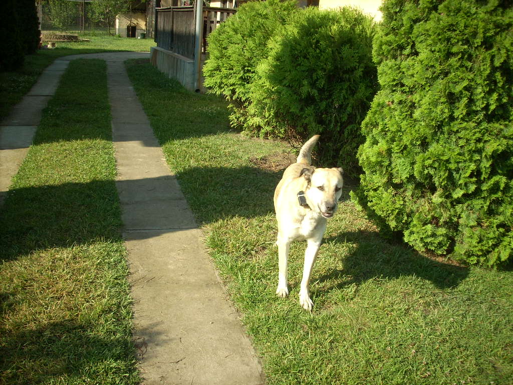23-20140506judy2_0