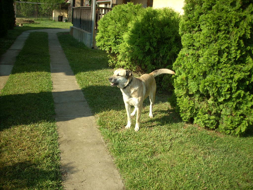 23-20140506judy3_0