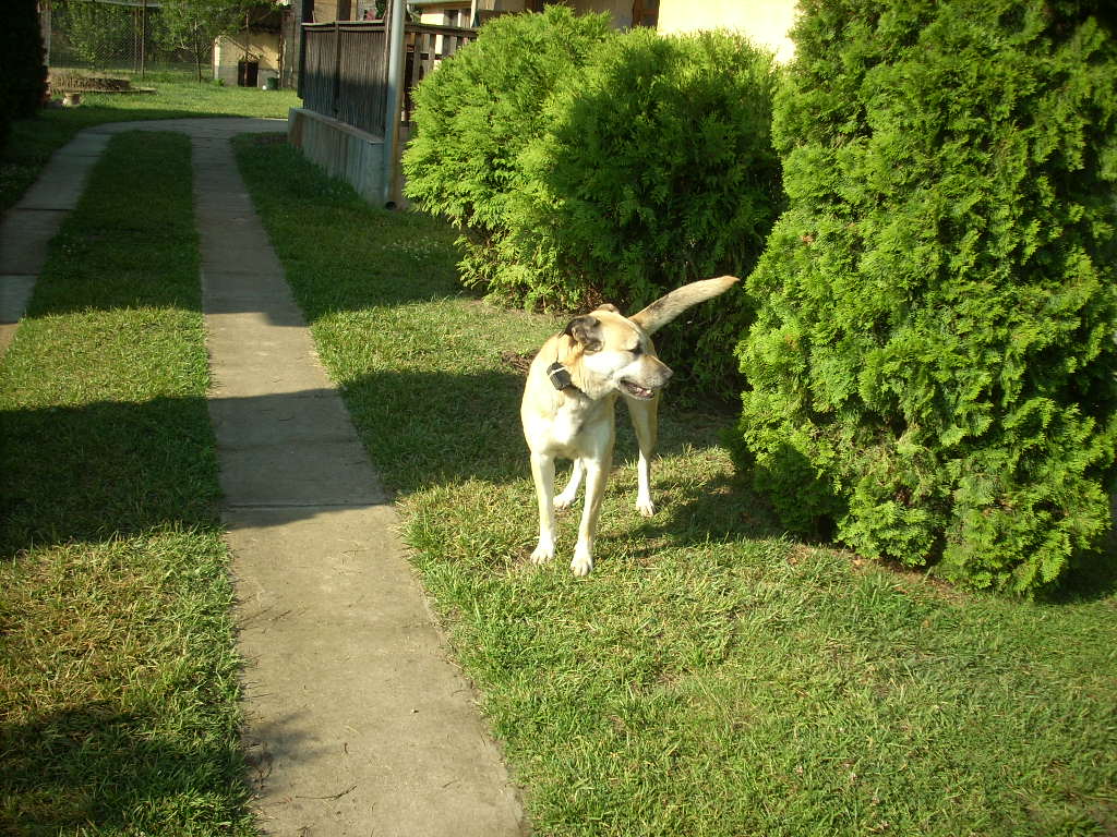 23-20140506judy4_0