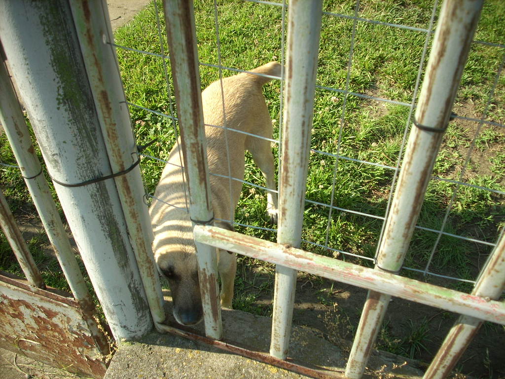 23-20140506judy6_0